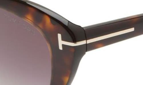 Shop Tom Ford Harlow 56mm Gradient Cat Eye Sunglasses In Dark Havana/gradient Burgundy