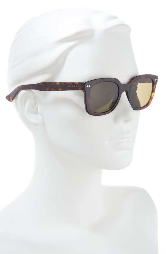 Gucci 50mm Square Sunglasses In Havana Havana Green