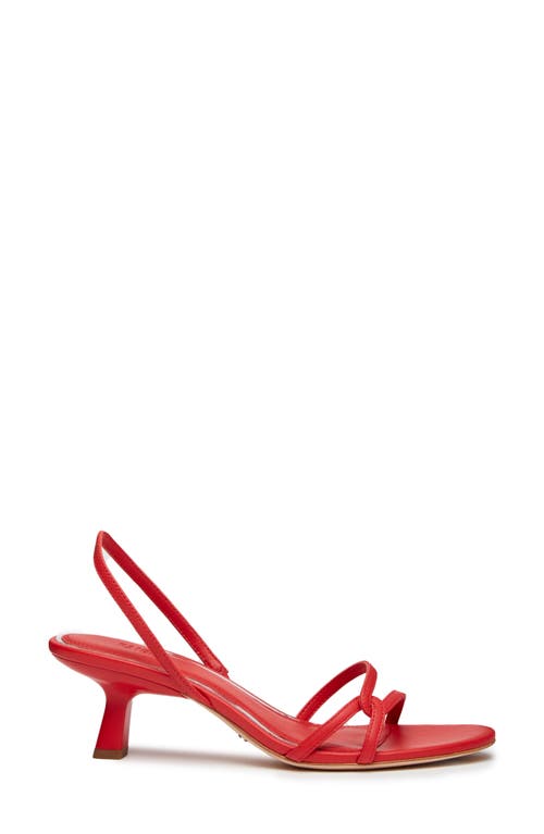 Shop Paige Fiona Slingback Kitten Heel Sandal In Candy Red