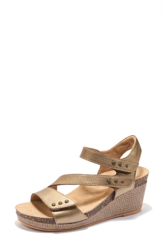 Shop Halsa Footwear Gisella Wedge Sandal In Bronze