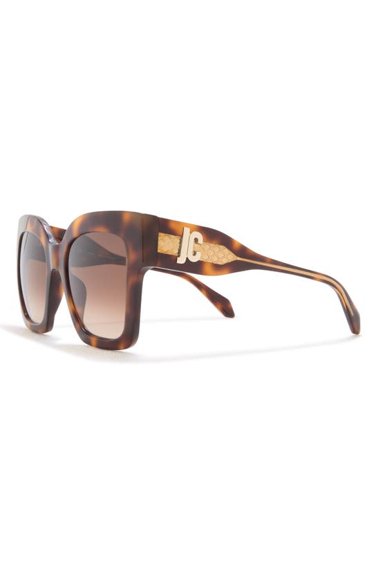 Shop Just Cavalli 52mm Oversize Square Sunglasses In Havana Havana Brown