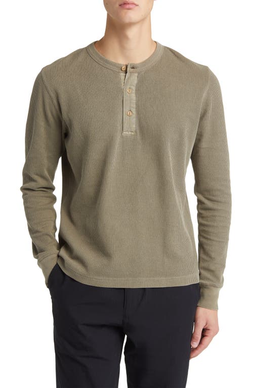 Cotton Double Knit Henley in Dried Thyme Venice Wash