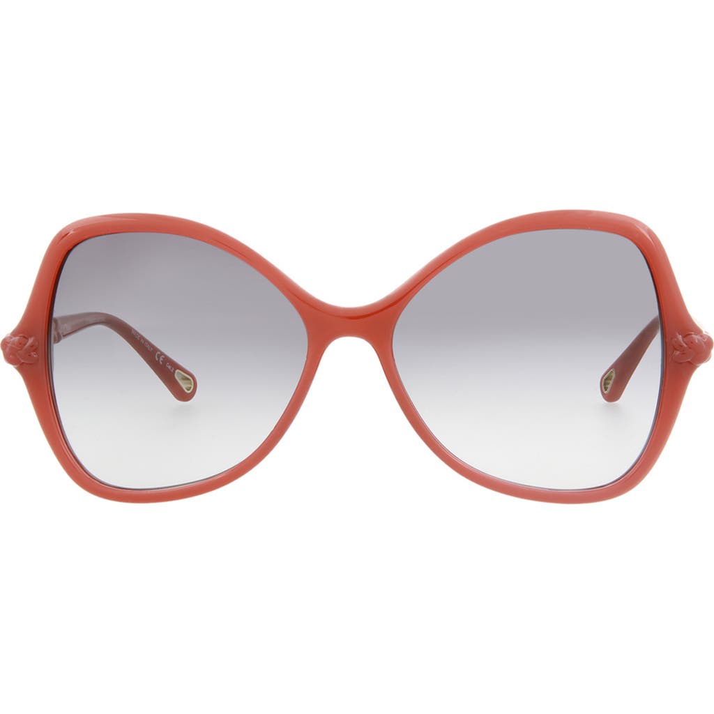 Chloé 56mm Chloe Core Sunglasses In Orange Orange Grey