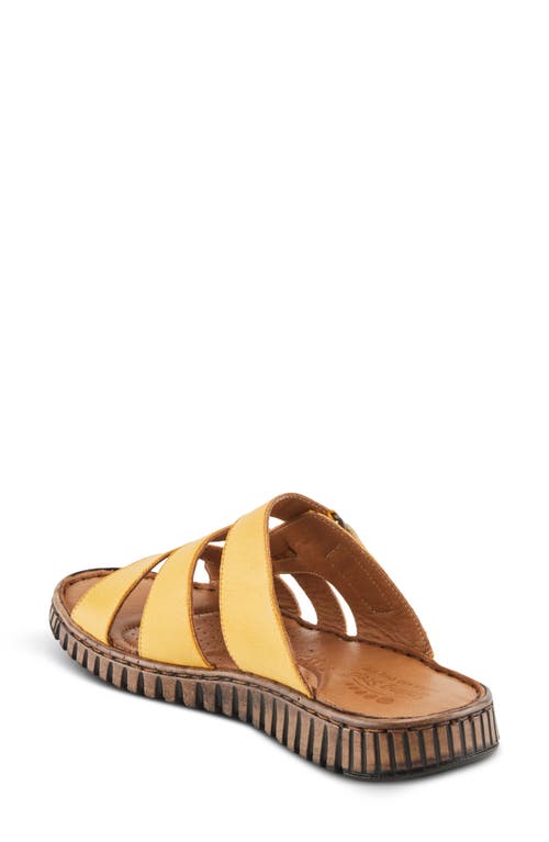 Spring Step Olly Slide Sandal In Mustard