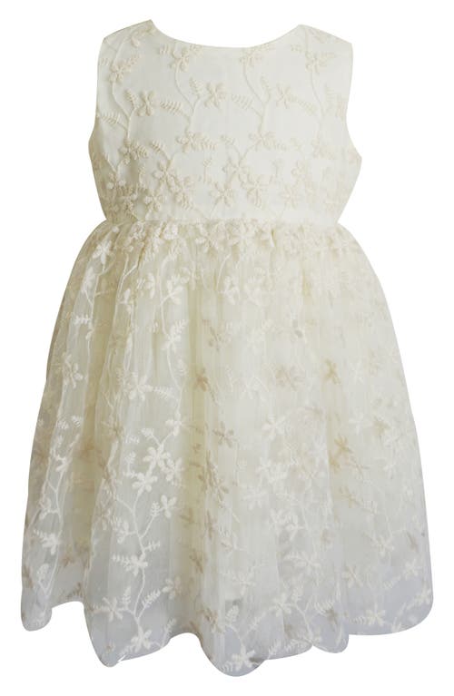 Popatu Kids' Embroidered Mesh Overlay Party Dress Yellow at Nordstrom,