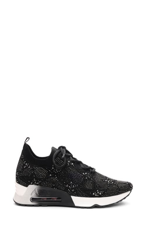 Ash Women's Lucky Star Lace Up Sneakers In Black