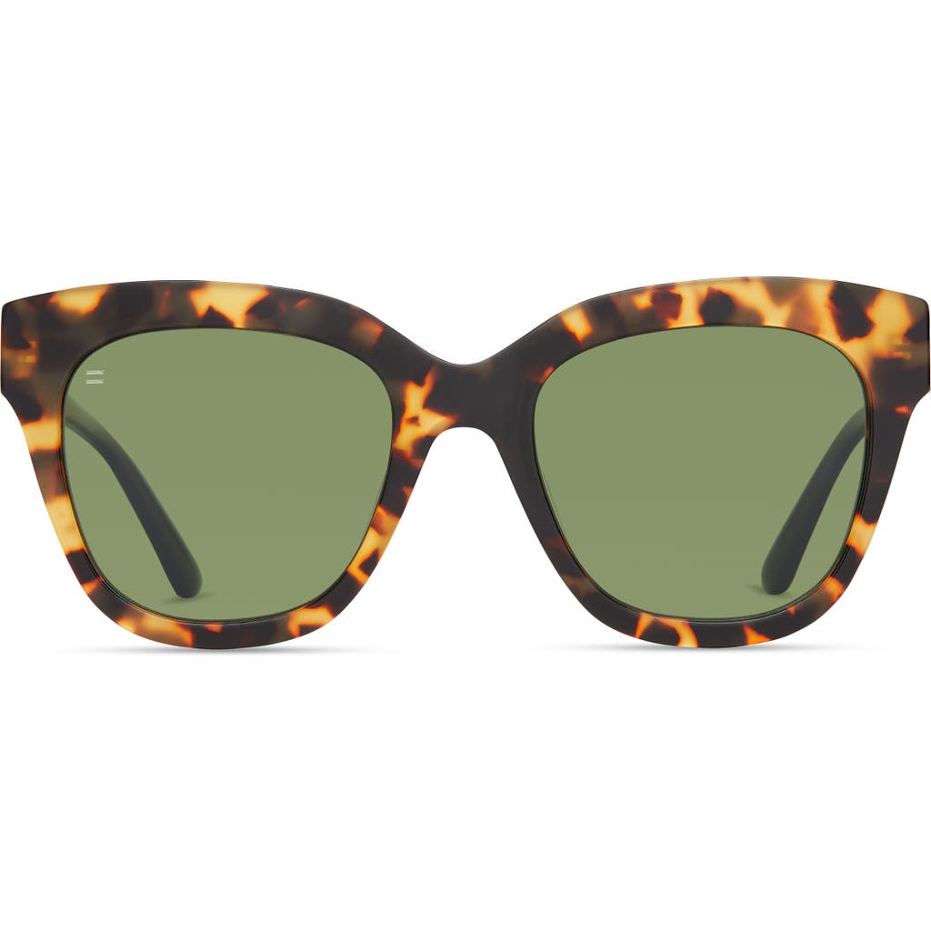 Toms Sloane 53mm Polarized Cat Eye Sunglasses In Green