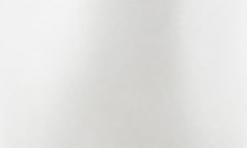 Baobab Collection Platinum Fragrance Diffuser In Shiny Silver