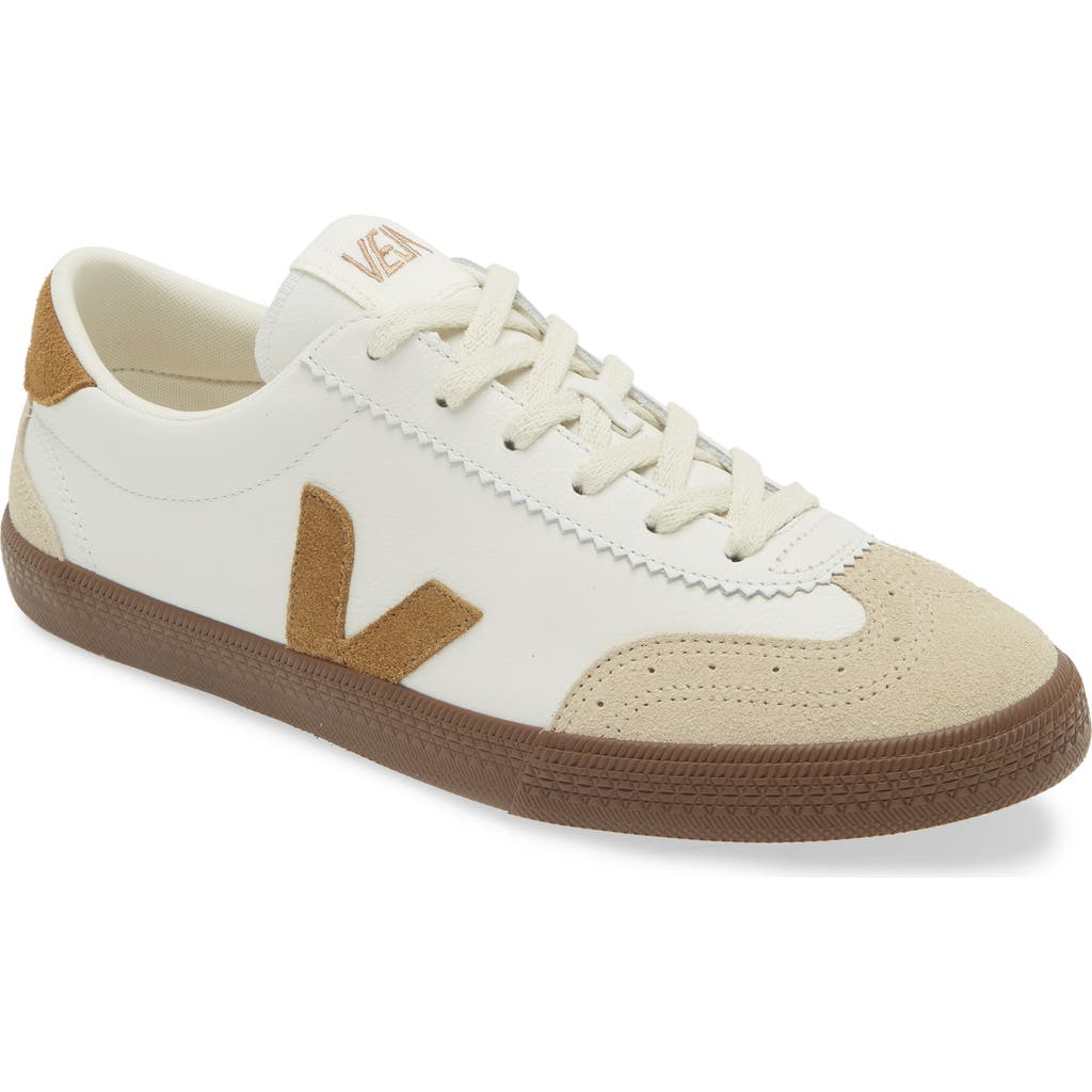 Veja Volley Suede-trimmed O.t. Leather Sneakers In White Tent Bark