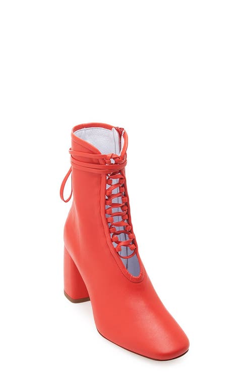 Shop Daniella Shevel Belladonna Boot In Red