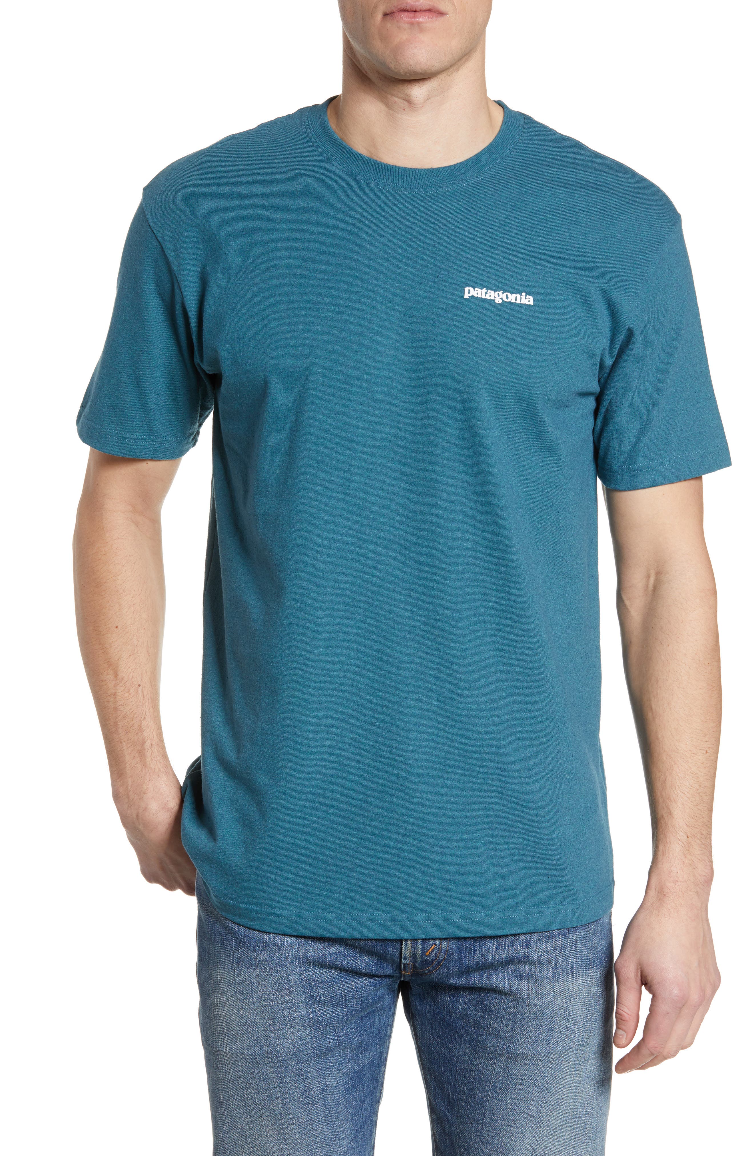 Patagonia Responsibili-Tee T-Shirt, Blue/green