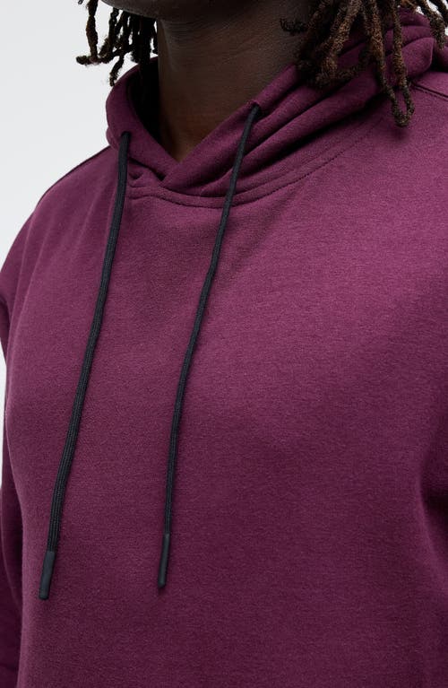 Stance Shelter Hoodie In Port Wine
