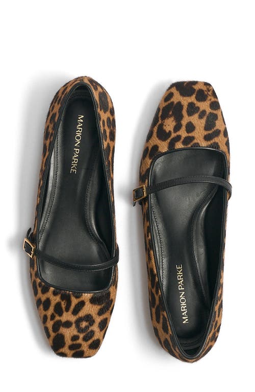 Shop Marion Parke Genuine Calf Hair Ballet Flat In Leopard