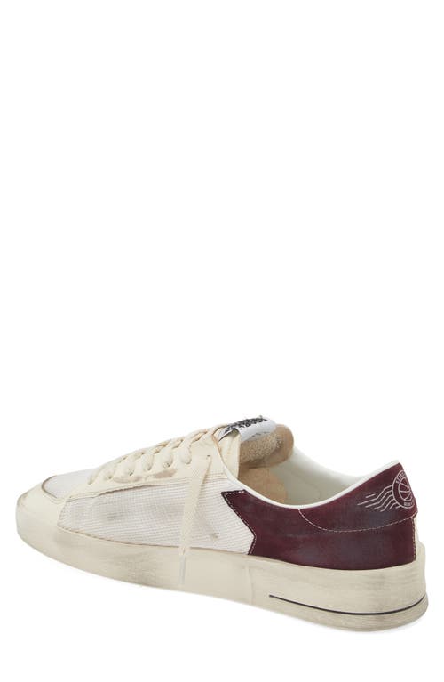 Shop Golden Goose Stardan Sneaker In White/white Ecru/wine