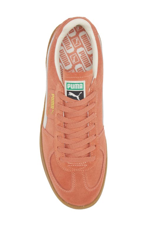 Shop Puma Super Team Low Top Sneaker In Deeva Peach- White