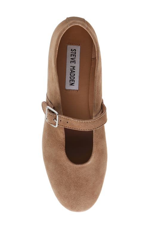 Shop Steve Madden Dreaming Mary Jane Flat In Taupe Suede