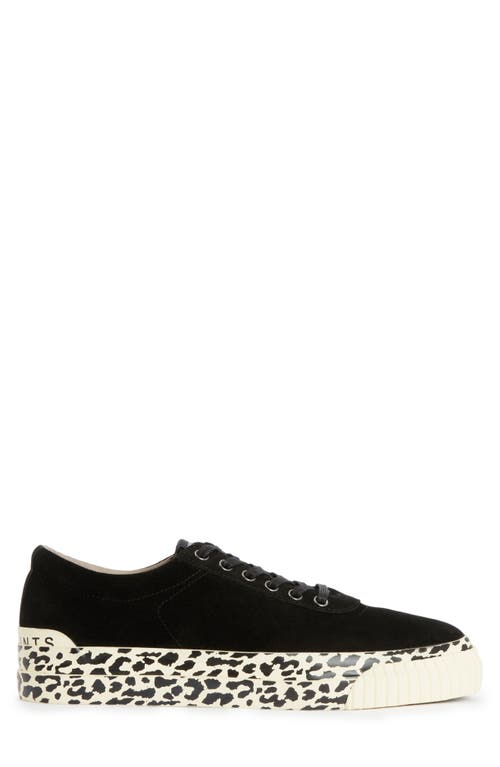 Allsaints Knox Sneaker In Black Leopard