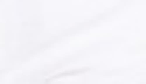 7 For All Mankind Cutoff Denim Shorts In Cleanwht