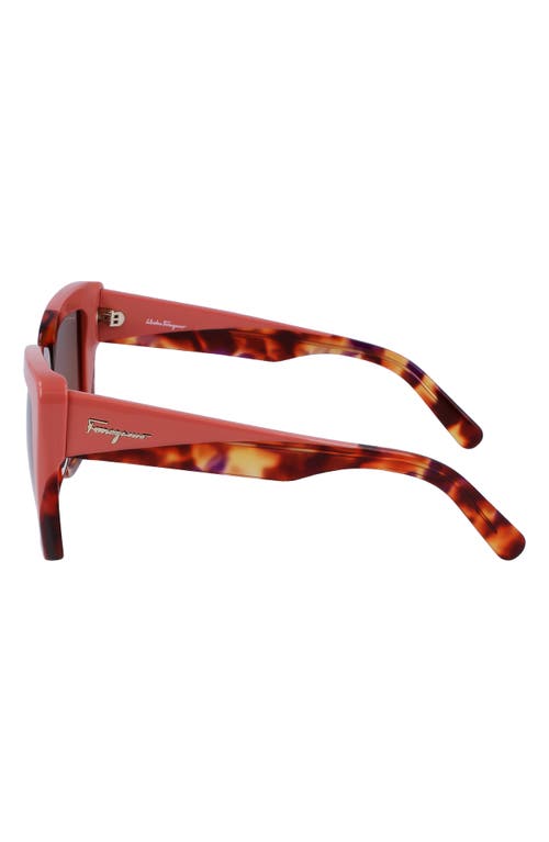 Ferragamo Color-block Square Acetate Sunglasses In Red Tortoise/rose