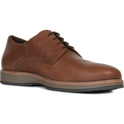 Geox Tyren Plain Toe Derby - Brown