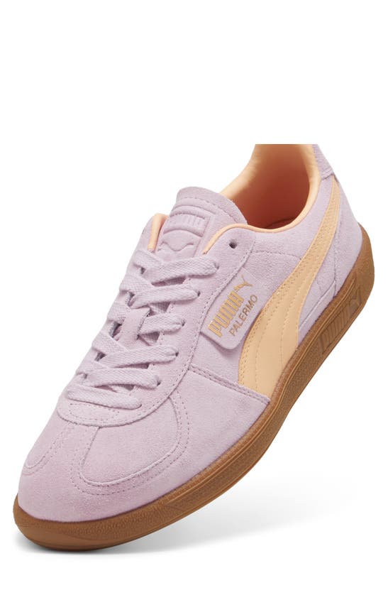 Puma Palermo Sneaker In Grape Mist-peach Fizz