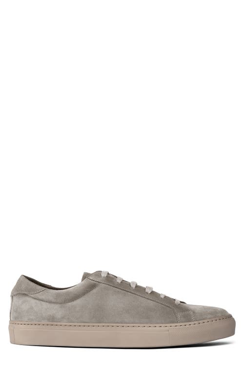 Shop To Boot New York Fleetwood Suede Low Top Sneaker In Grey