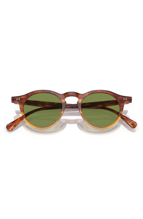 Oliver Peoples OP-13 47mm Round Sunglasses in Amber at Nordstrom