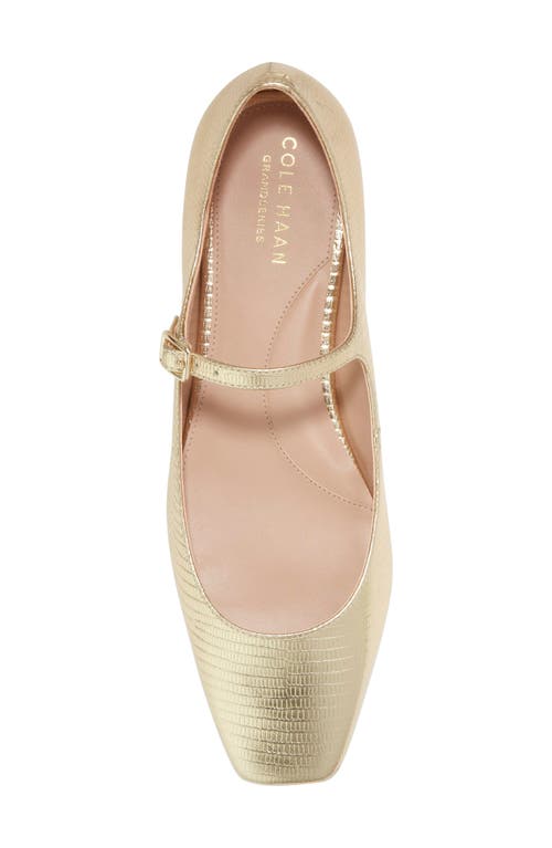 Shop Cole Haan Bridge Mary Jane Ballet Flat In Gold Lizar