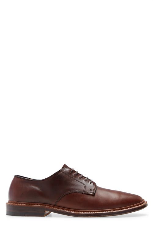 Shop Alden Shoe Company Alden Blucher Plain Toe Derby In Brown Aniline