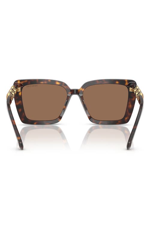 Swarovski 55mm Square Sunglasses In Havana