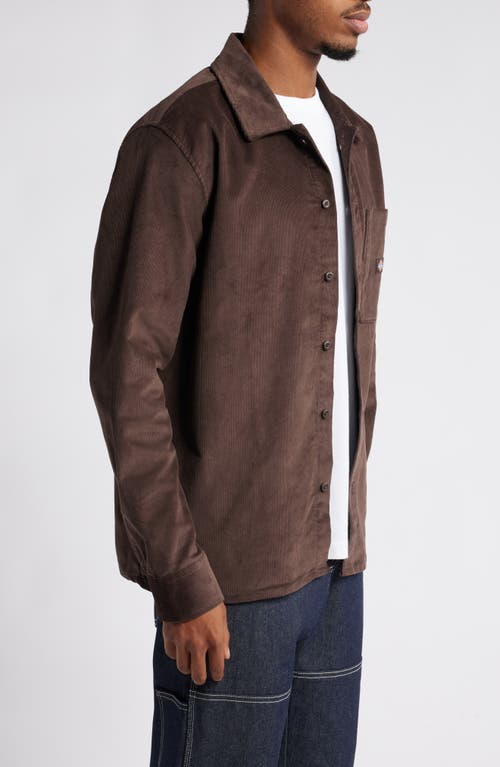 Shop Dickies Corduroy Button-up Shirt In Chocolate Brown