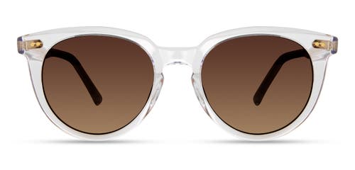 Modo 802 Sunglasses In Lavender