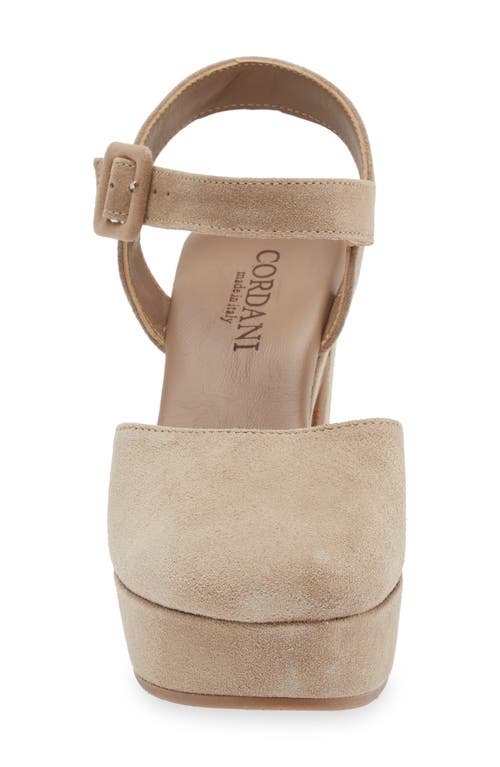 Cordani Torin Ankle Strap Platform Pump In Tortora Suede