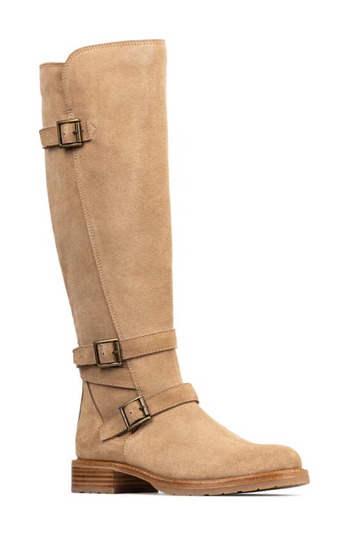 Shop Donald Pliner Carlota Knee High Moto Boot In Tobacco