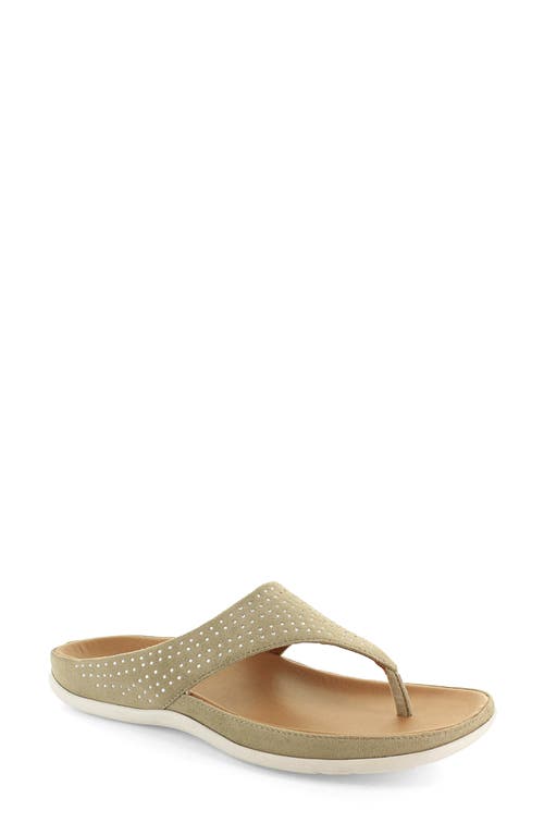 Ibiza Thong Sandal in Stone