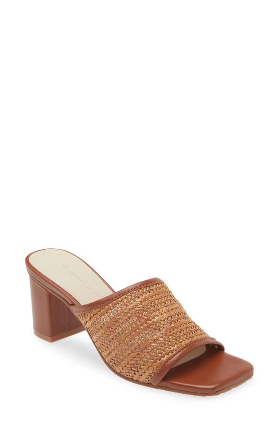 Shop Chocolat Blu Delsy Slide Sandal In Brown