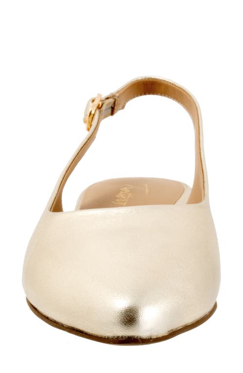 Trotters Evelyn Pointed Toe Slingback Flat In Champagne