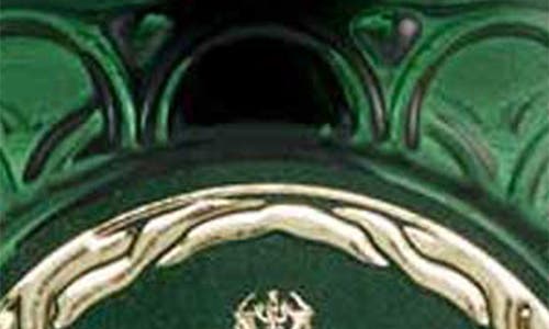 Voluspa Bewitching Banyan Forest Reed Diffuser In Elphaba