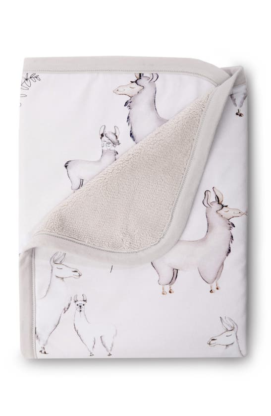 Shop Oilo Jersey Cuddle Blanket In Llama