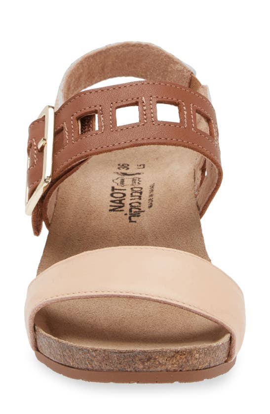 Shop Naot Dynasty Wedge Sandal In Pale Blush/ Caramel/ Gold