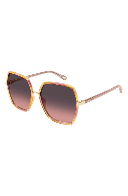 Chloé Oversize-frame Sunglasses In Dark Havana