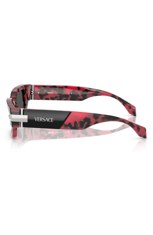 Shop Versace 53mm Plaque Rectangular Sunglasses In Top Black/red Havana