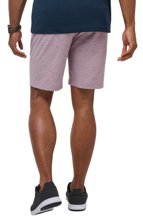 Shop Travismathew Guiding Lights Shorts In Elderberry