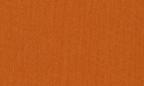 Madewell Lightspun Button Front Minidress In Burnt Orange