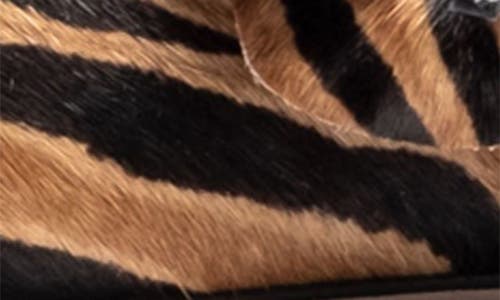 Frances Valentine Flower Genuine Calf Hair Kitten Heel Slingback Pump In Zebra Haircalf