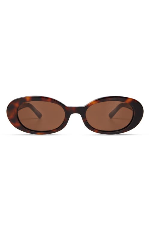 Shop Elisa Johnson Lyric Leigh 52mm Oval Sunglasses In Brown Tortoise