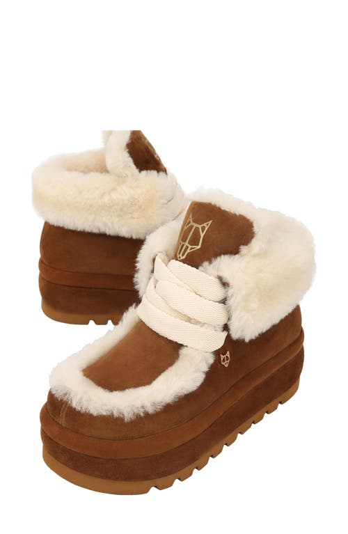 Shop Naked Wolfe Bambi Genuine Shearling Platform Bootie In Tan-suede/shearling