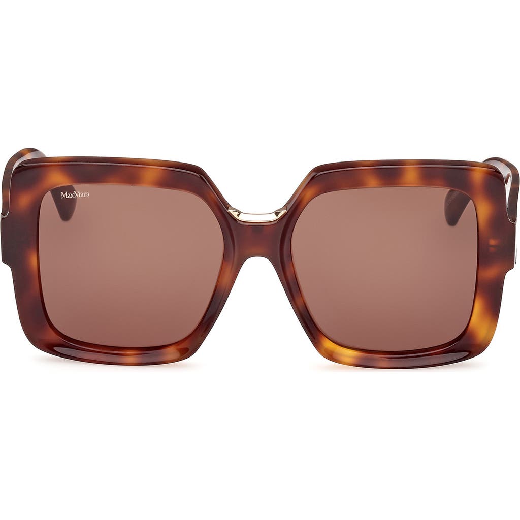 Max Mara Ernest 56mm Square Sunglasses In Dark Havana/brown