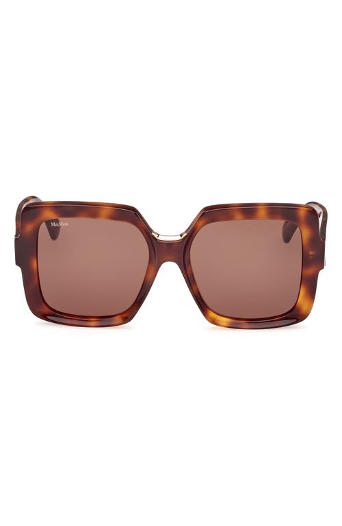 Max Mara Ernest 56mm Square Sunglasses in Dark Havana /Brown at Nordstrom