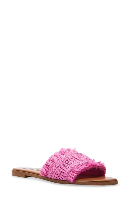 Steve Madden Lakeshore Woven Raffia Slide Sandal at Nordstrom,